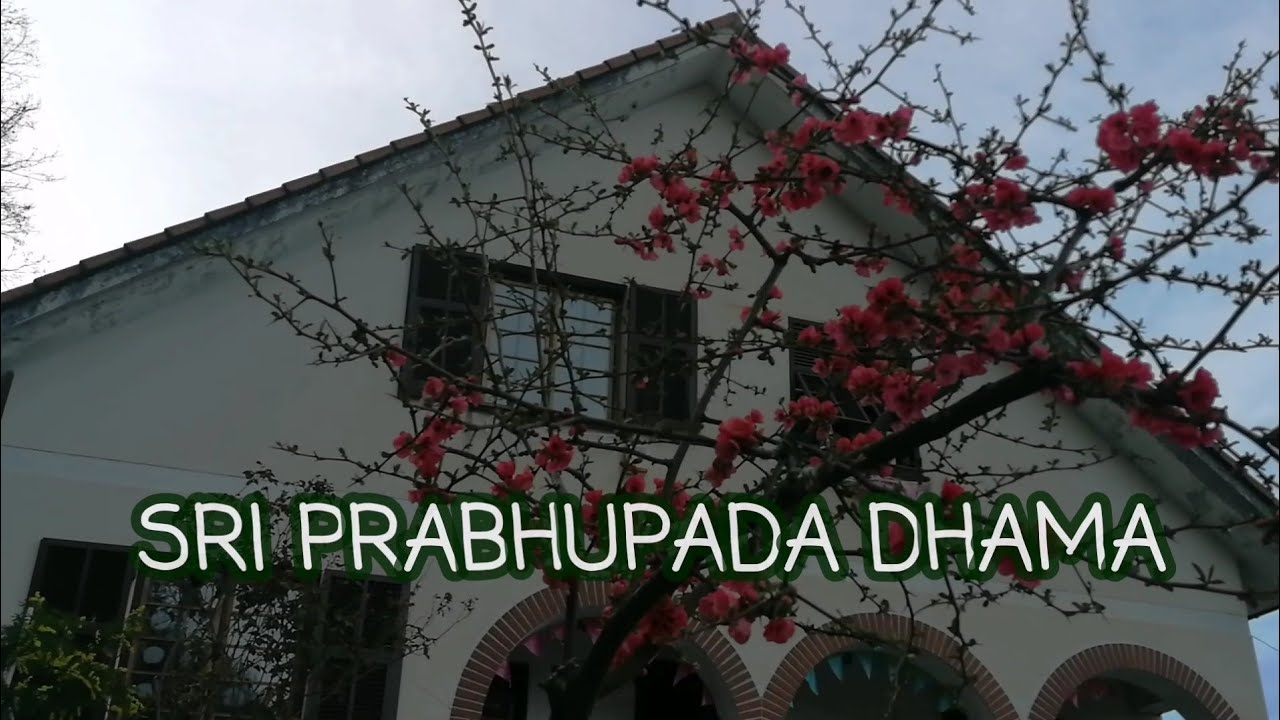Hare Krishna ISKCON Temple In ITALY Genoa / Храм Харе Кришна ИСККОН в Италии в Генуе  Харинамы Генуя