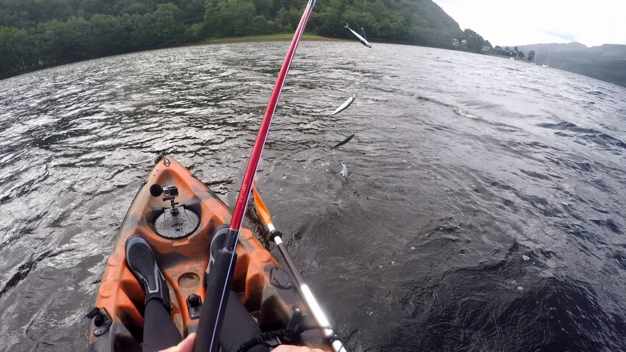 Loch Long kayak fishing in Galaxy Cruz - Monday, Aug 19, 2019 - Mackerel were about :)