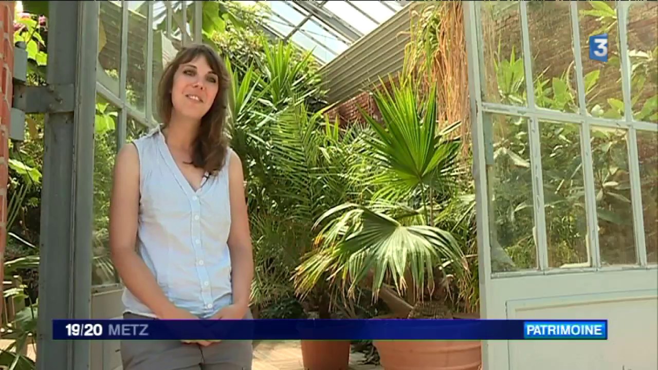 Environnement  :Metz : l'histoire des serres du jardin botanique