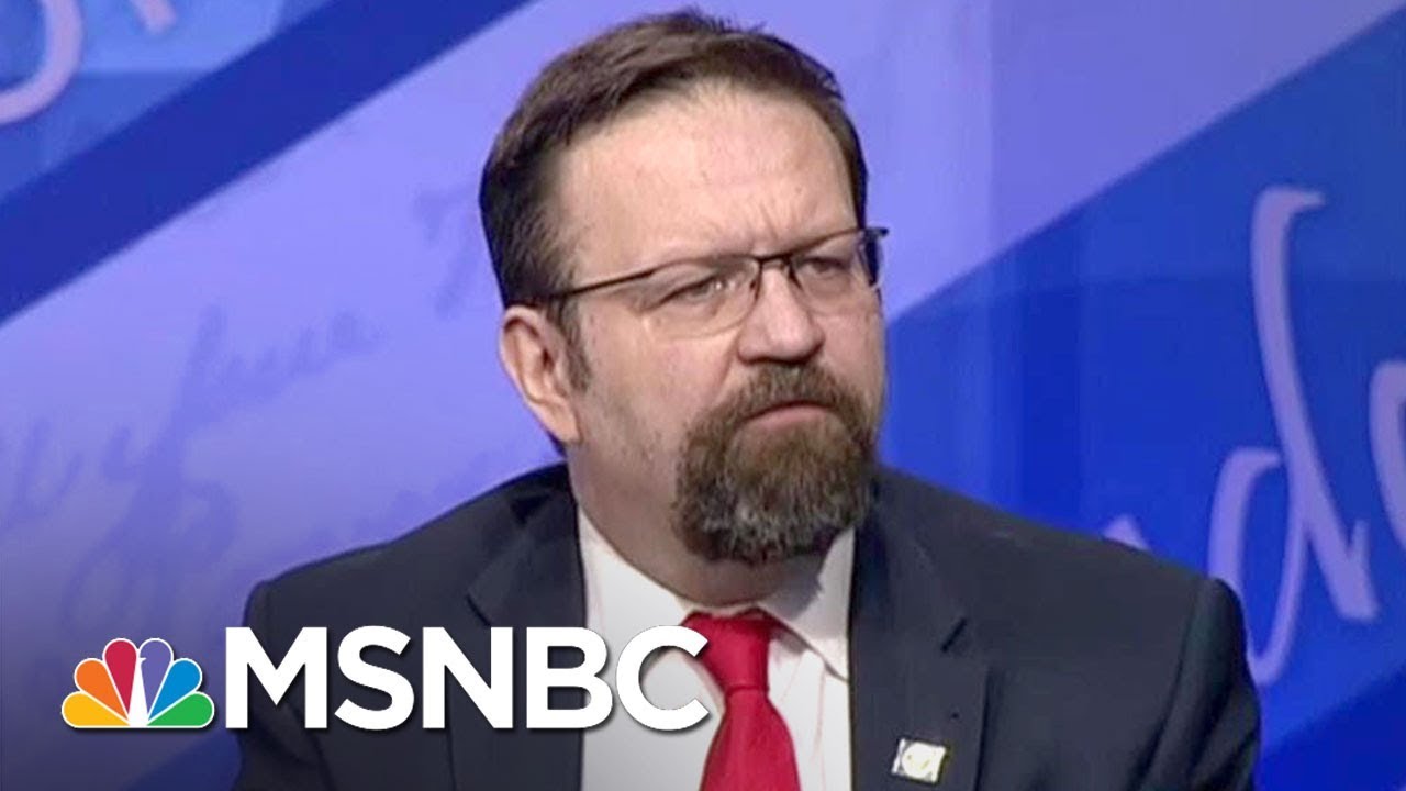 Richard Painter: Sebastian Gorka Should Be Fired For Tillerson Comments | The 11th Hour | MSNBC