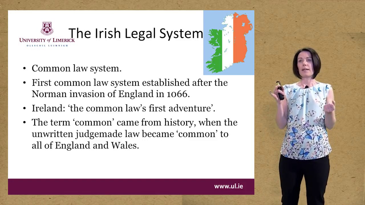 The Irish legal system - Lecture 1