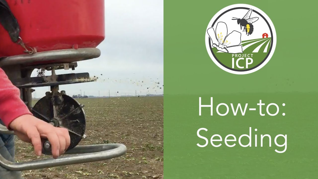 How-to: Seeding Methods for Wildflower Plantings