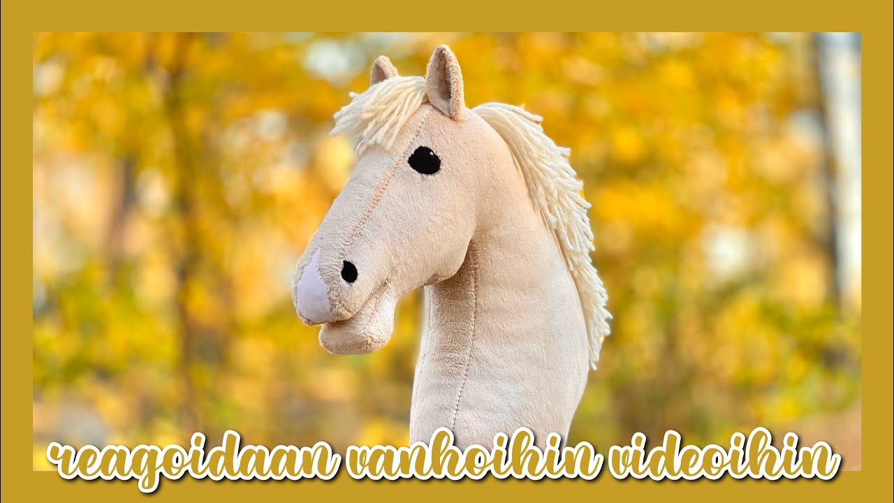 Miltä Mun Videot Näytti Vuosia Sitten? 🙊🎞️