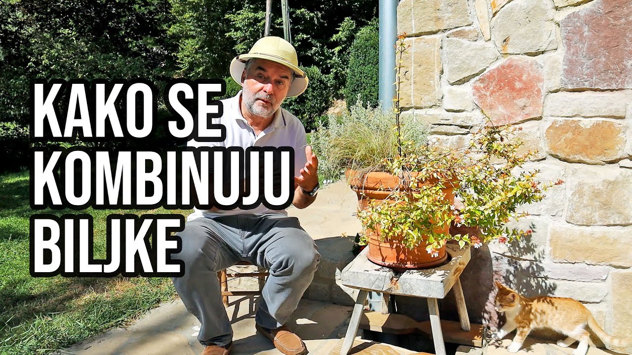 Kako kombinovati biljke
