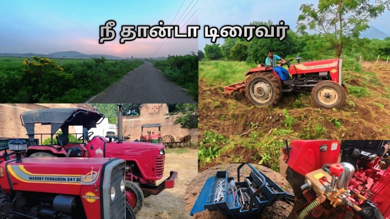 80 ஏக்கர் காடு இப்படி தான் உழவு ஓட்டுதாங்க🚜🚜💥💥 #mf241 #nature #villagelife  
