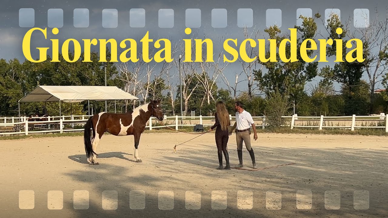 VLOG 1 / una giornata in scuderia + nuovo cavallo in addestramento 
