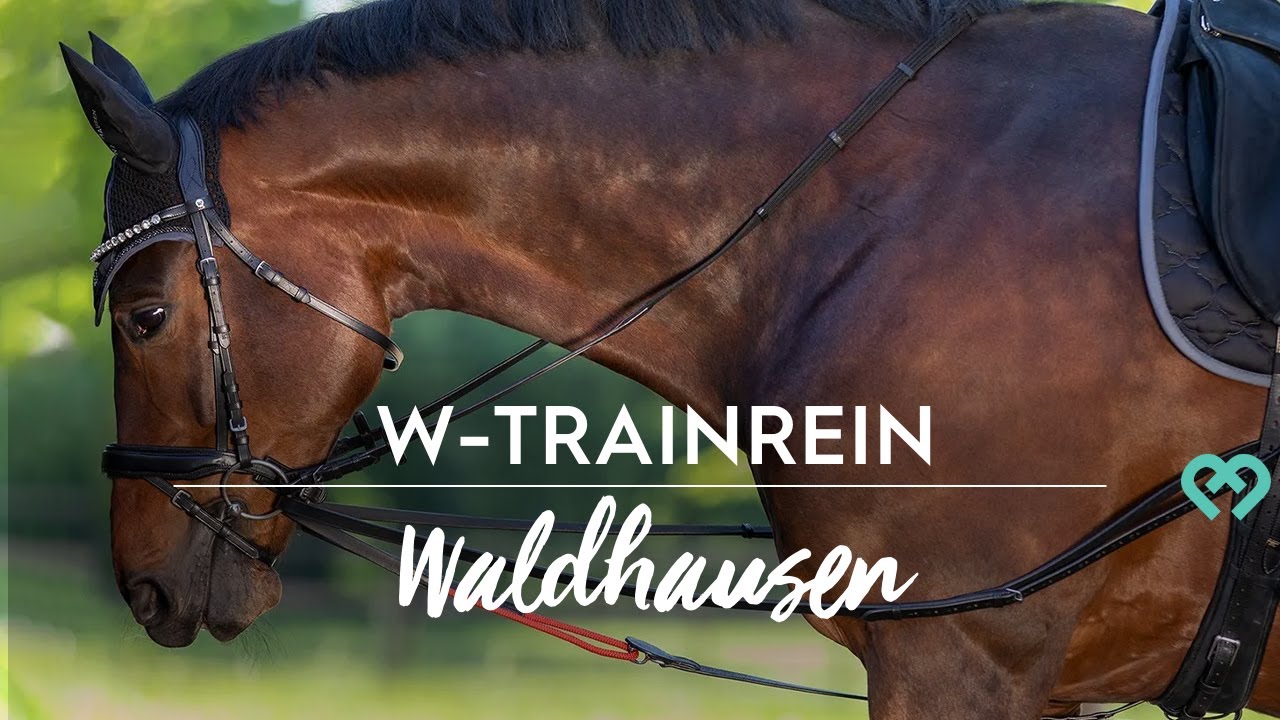 kavalio.de | W-TRAINREIN | Waldhausen