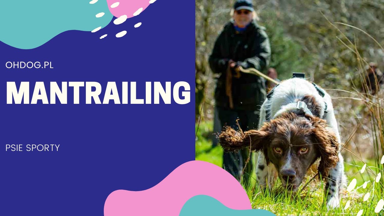 MANTRAILING - Psie Sporty