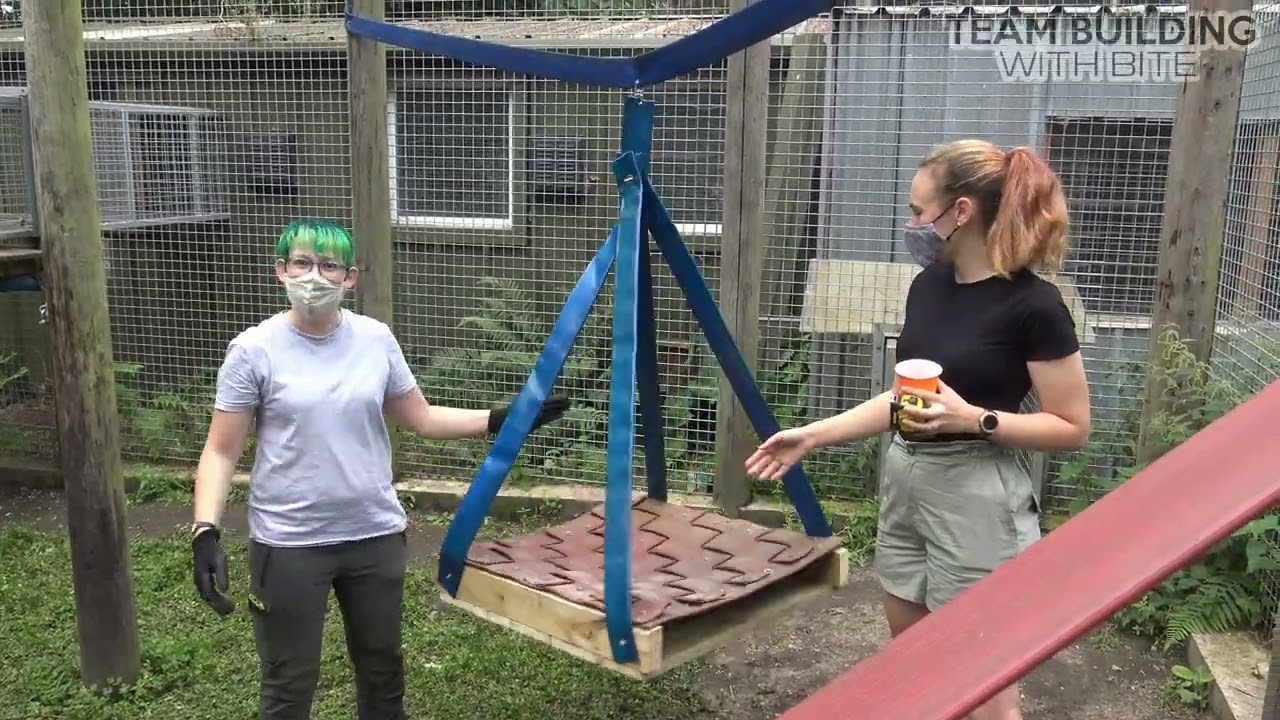 SHAPE of enrichment workshop