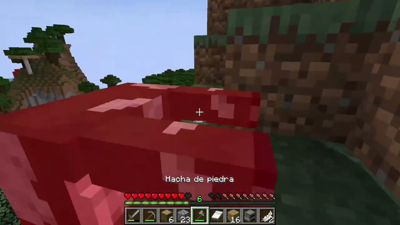 Jugando Minecraft (parte 2)