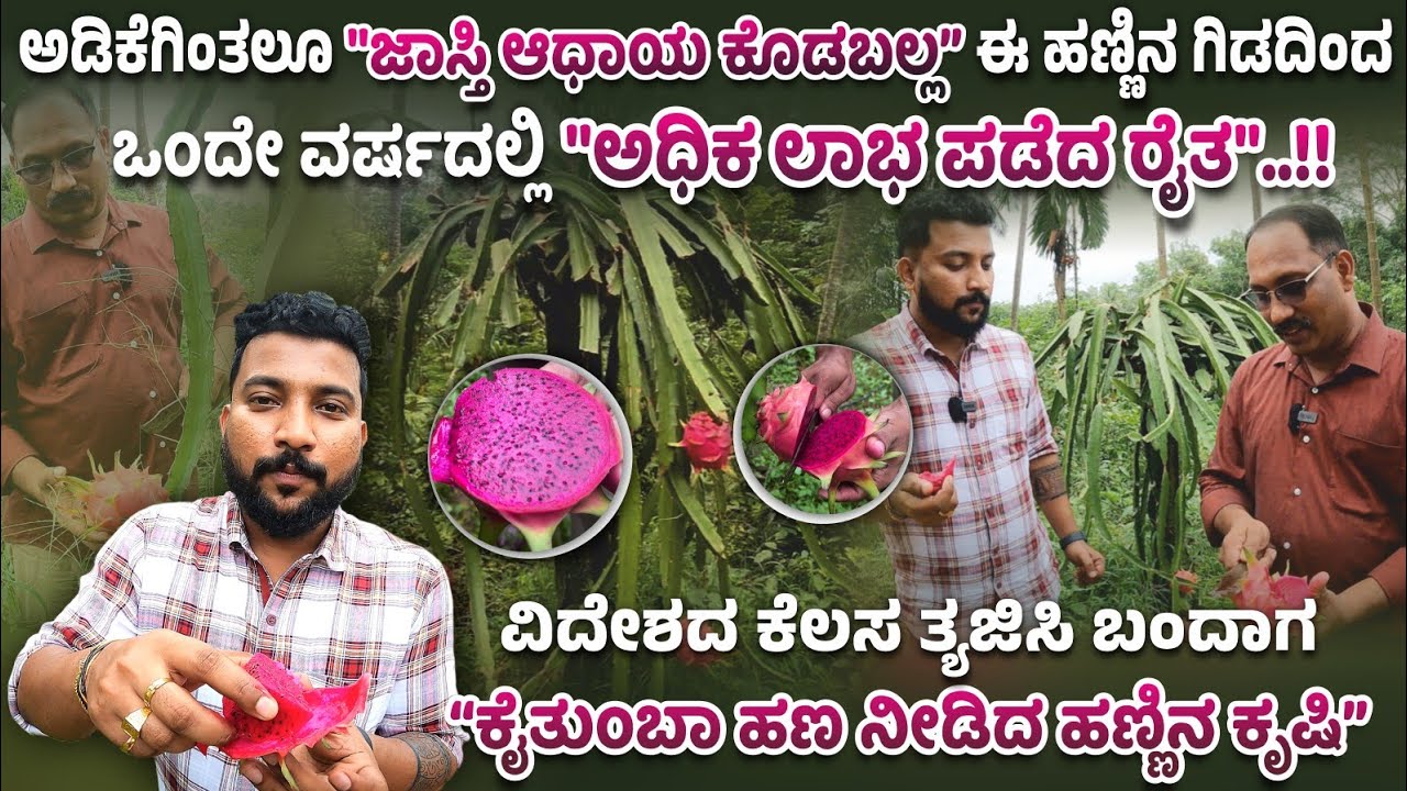 ವಿದೇಶದ ಕೆಲಸ ತ್ಯಜಿಸಿ 