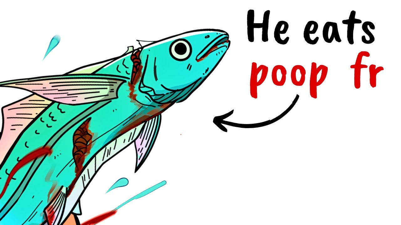Why It Sucks To Be Born As a Pearlfish