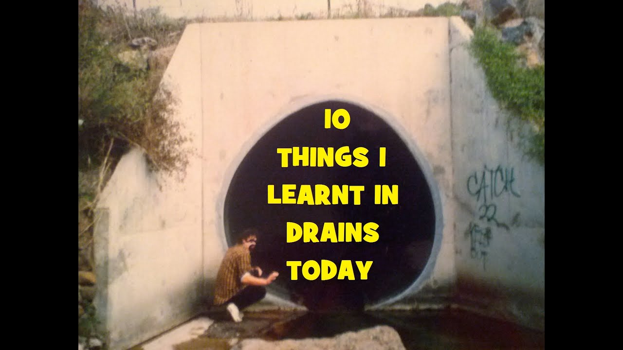 Ten Things I Learnt in Drains Today