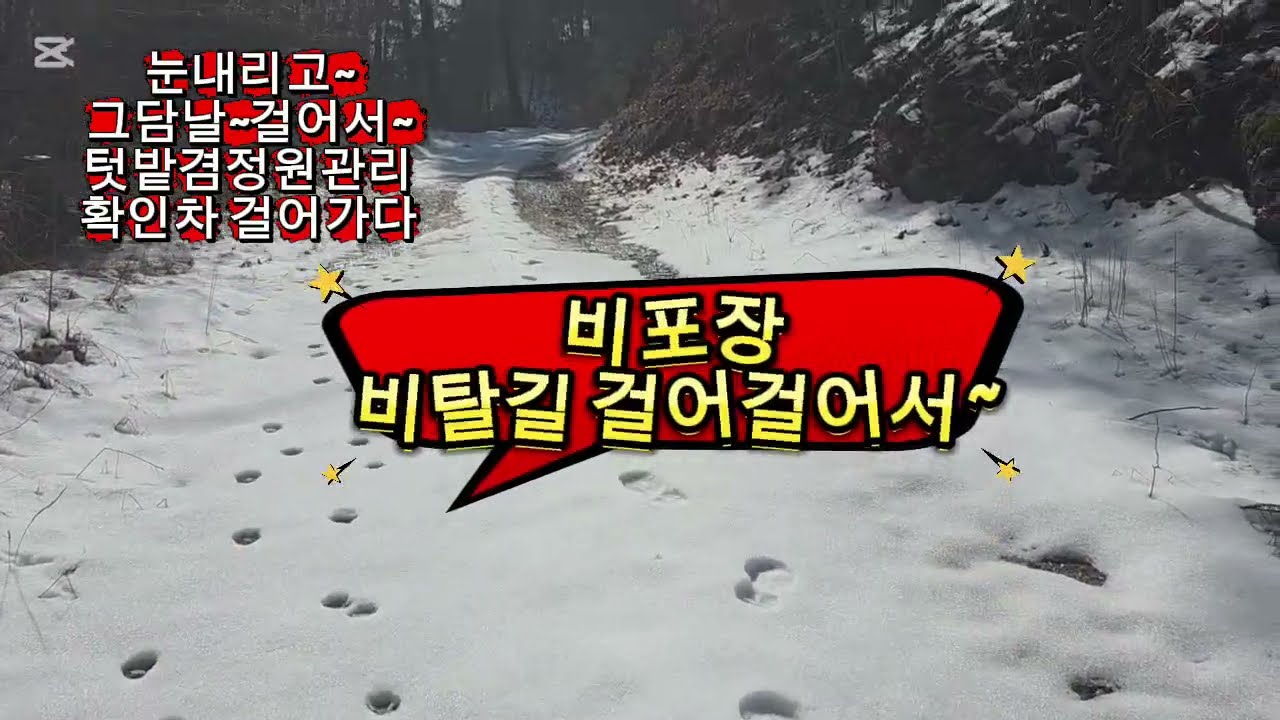 #눈내린#숲속#텃밭관리#정원관리#도보로 걸어가다#감자밭에 감자심어야 되는데!~#봄에#눈오다