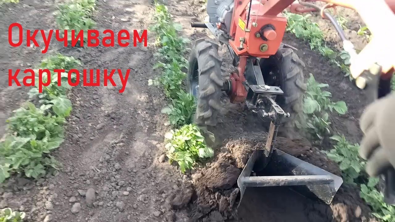 Підгортаємо картоплю моїм окучником (Окучиваем огород мотоблок ЗУБР)
