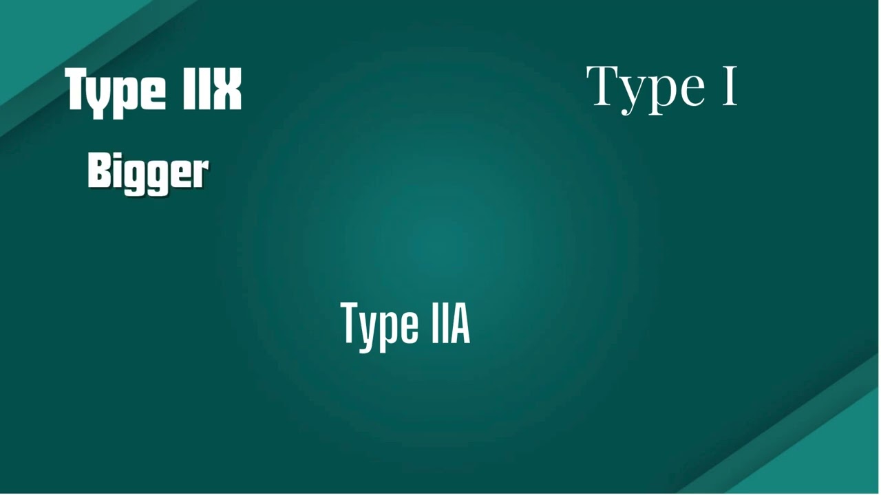 muscle fiber types