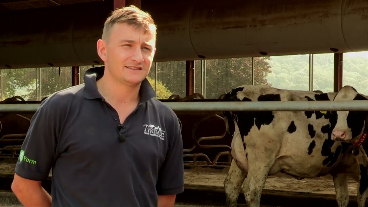 Galebreaker Customer Testimonial at Graig Olway Farm