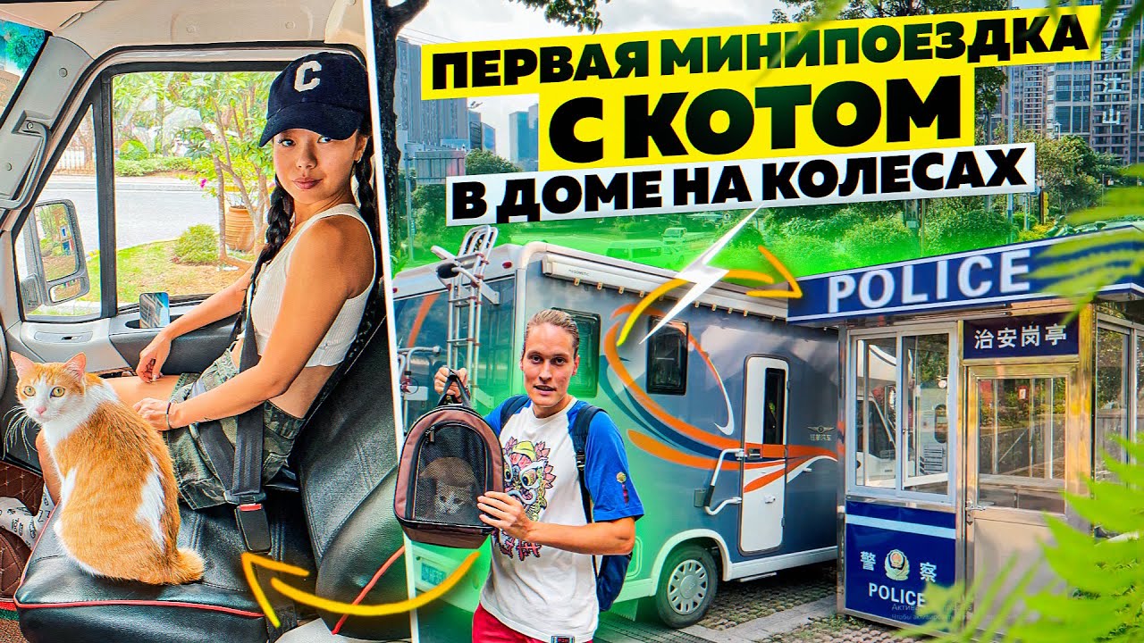 ЖИЗНЬ С КОШКОЙ в АВТОДОМ #5