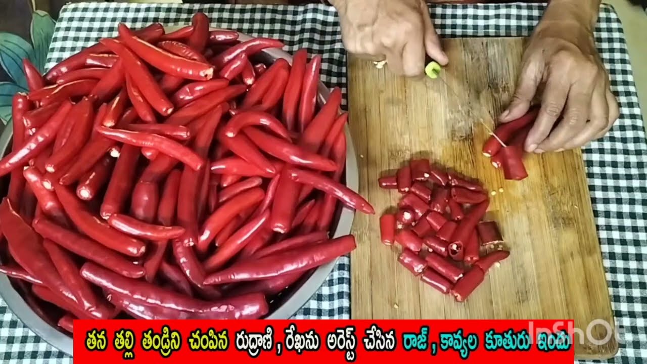 Bramhamudi serial today episode review /రుద్రాణిరేఖను అరెస్ట్ చేసిన రాజ్ , కావ్యల కూతురు ఇందు