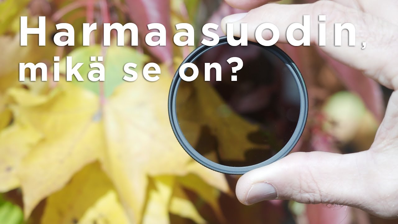 Harmaasuodin, mikä se on?