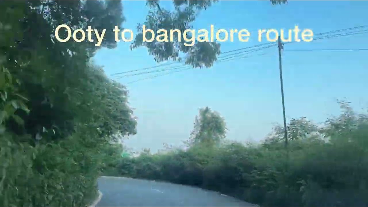 Ooty to Bangalore Route|MY_vlog #ooty #bangalore #route #pineforest #trending #youtube