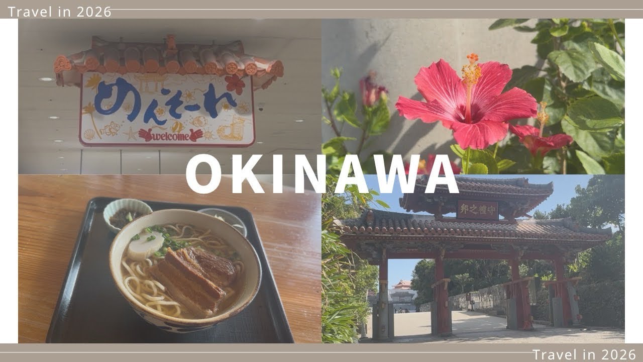 【沖縄女ひとり旅】車なしでも大丈夫！！路線バス3日間フリーパスの旅🌺🏝️