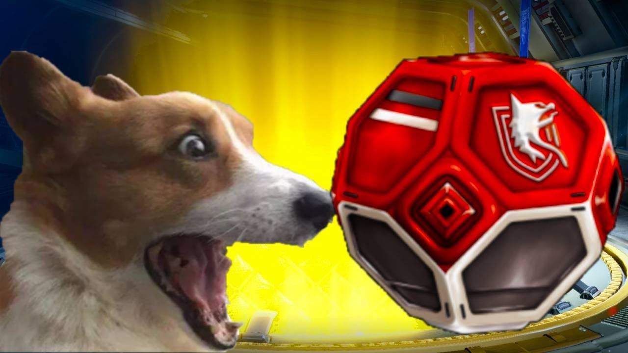 WILL MY CORGI BRING ME GOOD LUCK IN MY DROP OPENING!! Rocket League Drop Opening