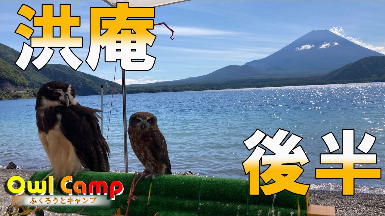 Owl Camp 〜ふくろうとキャンプ〜 #10 【洪庵・後半】