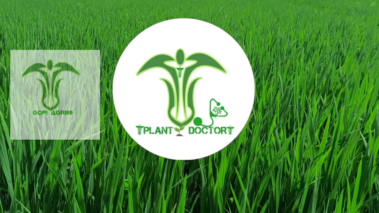 OUR CHANNEL NAME IS CHANGED PLANT🌱DOCTOR TAMIL