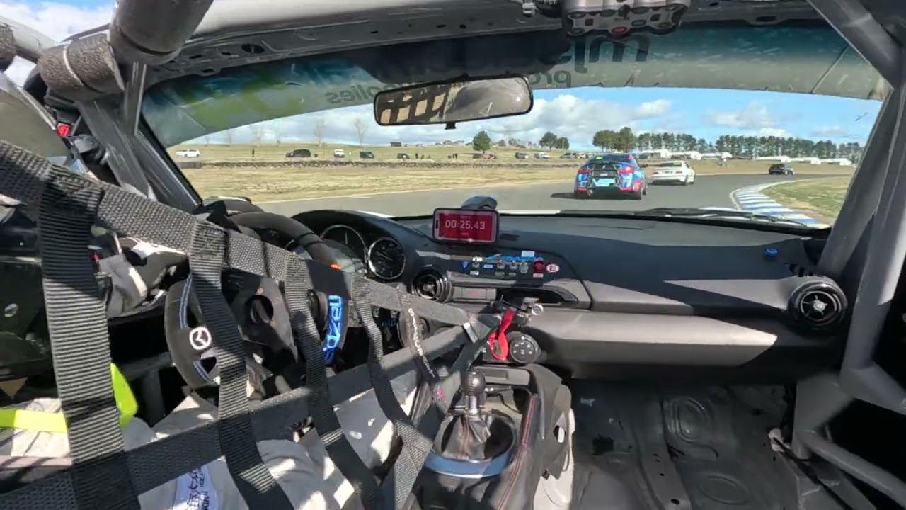 Wakefield 300, Hamster Takes on Godzilla 🐹🦖