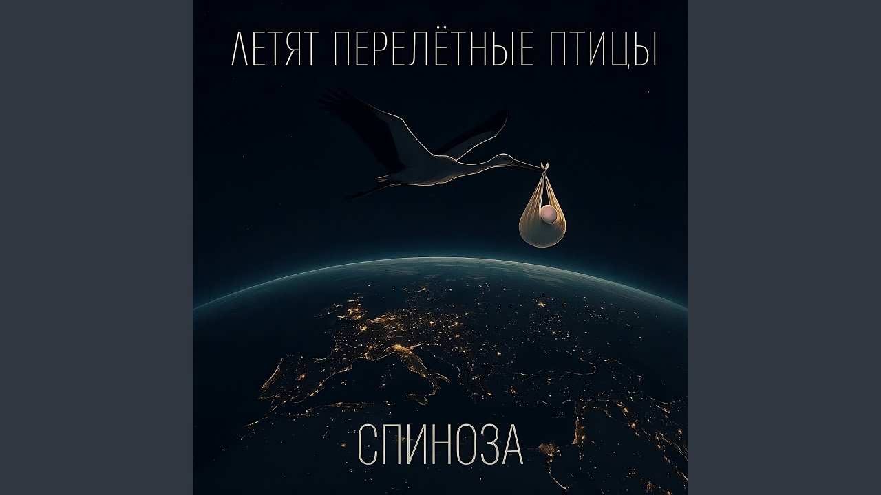 Летят перелётные птицы