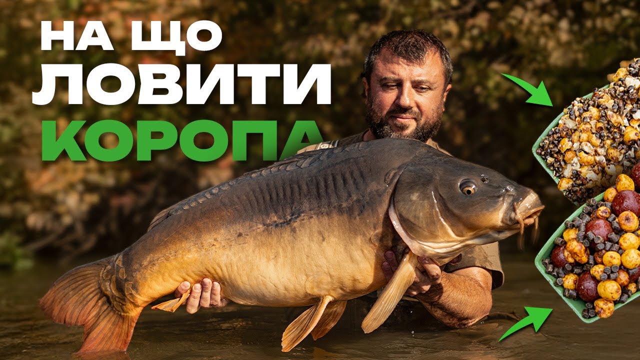 🐟 ТОП ПРИКОРМКА ДЛЯ КАРПА  — Рибальська школа Flagman! — Урок 10