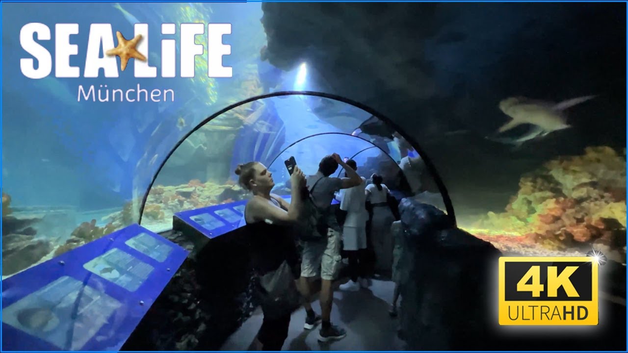 SEA LIFE Olympiapark München - Complete tour