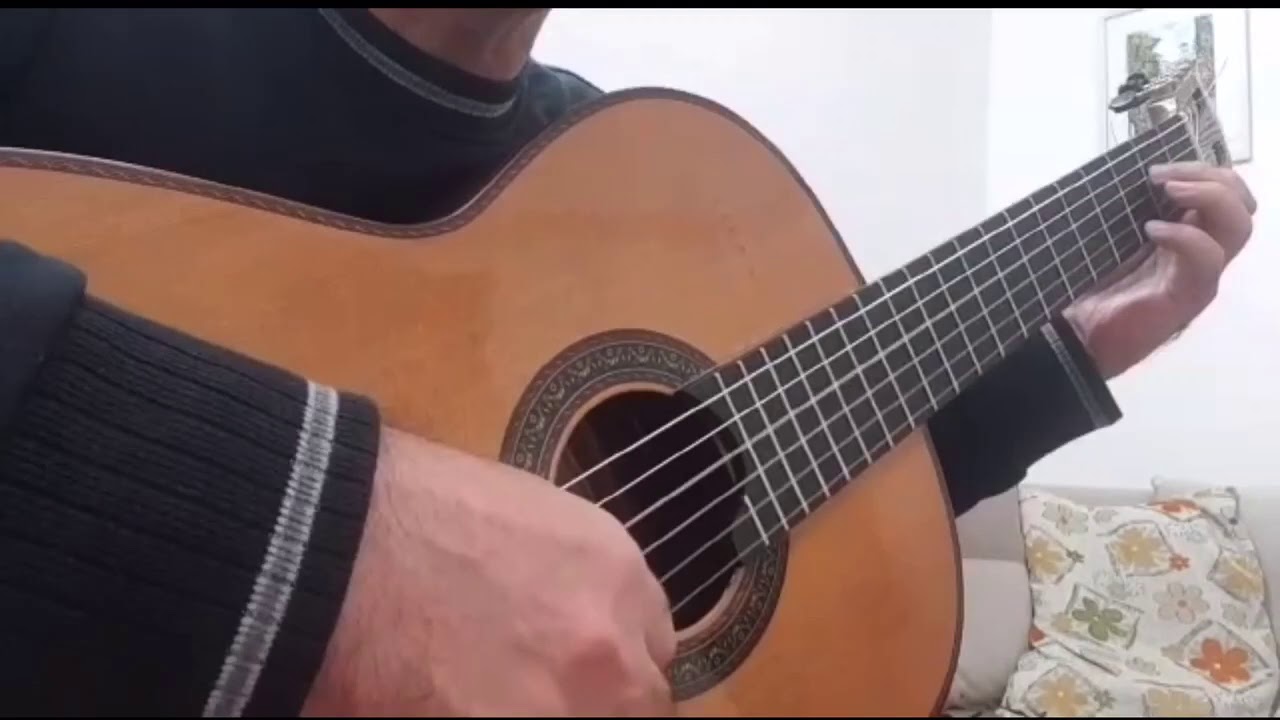 Allemande Anonymous played by Farzad Daneshmand