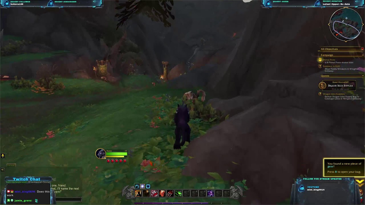 Playing WOW