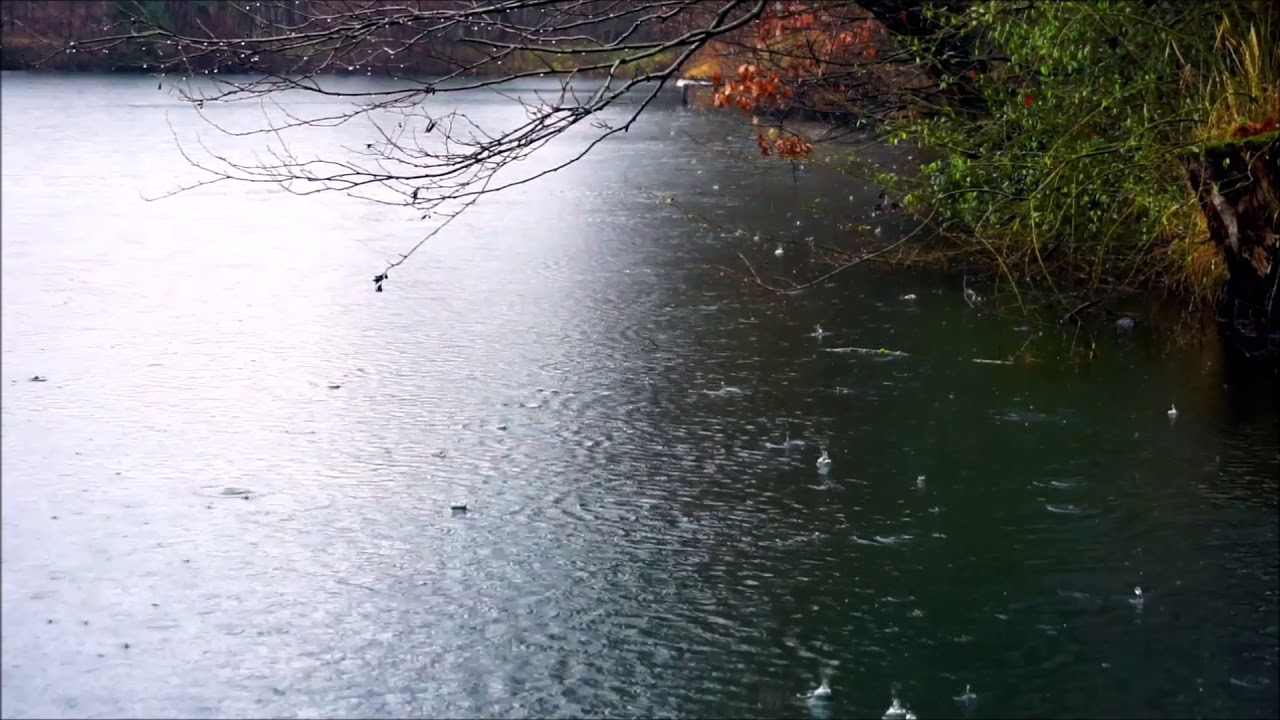 Regen am See - Entspannung - Natur