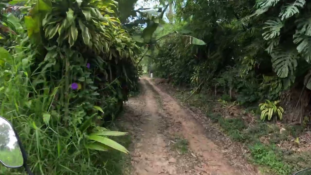 VENDO HERMOSA PARCELA DE 11000m2 EN LA MESA DE LOS SANTOS VEREDA JERIDAS