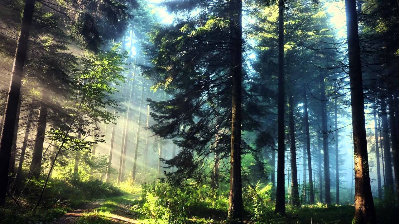 Systremo - Might Be