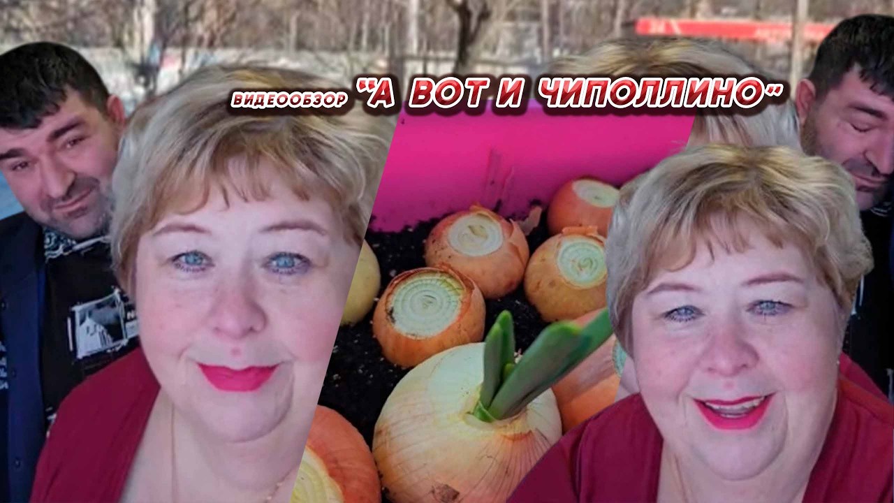 ОЛЬГА УРАЛОЧКА LIVE //А ВОТ И ЧИПОЛЛИНО//