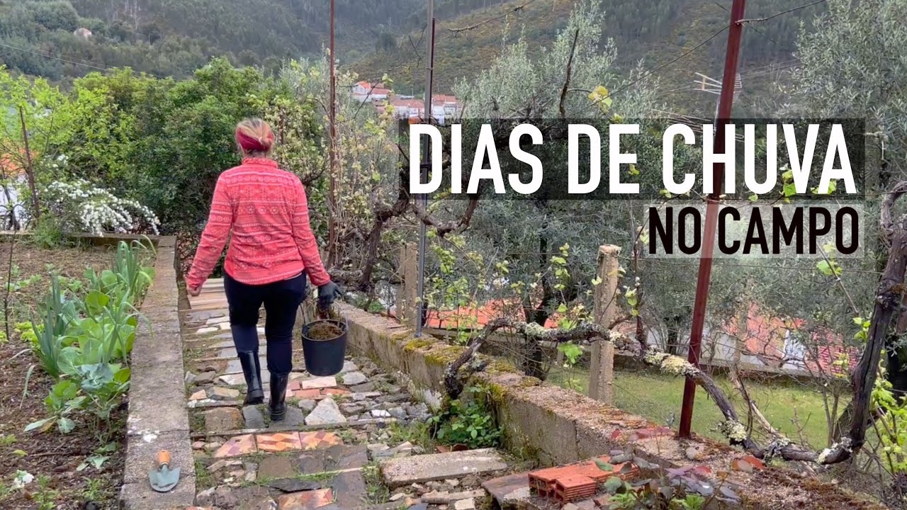 Em dias de chuva, trabalha-se dentro de casa | Melhorias no interior continuam | vlog no campo🌳🌱