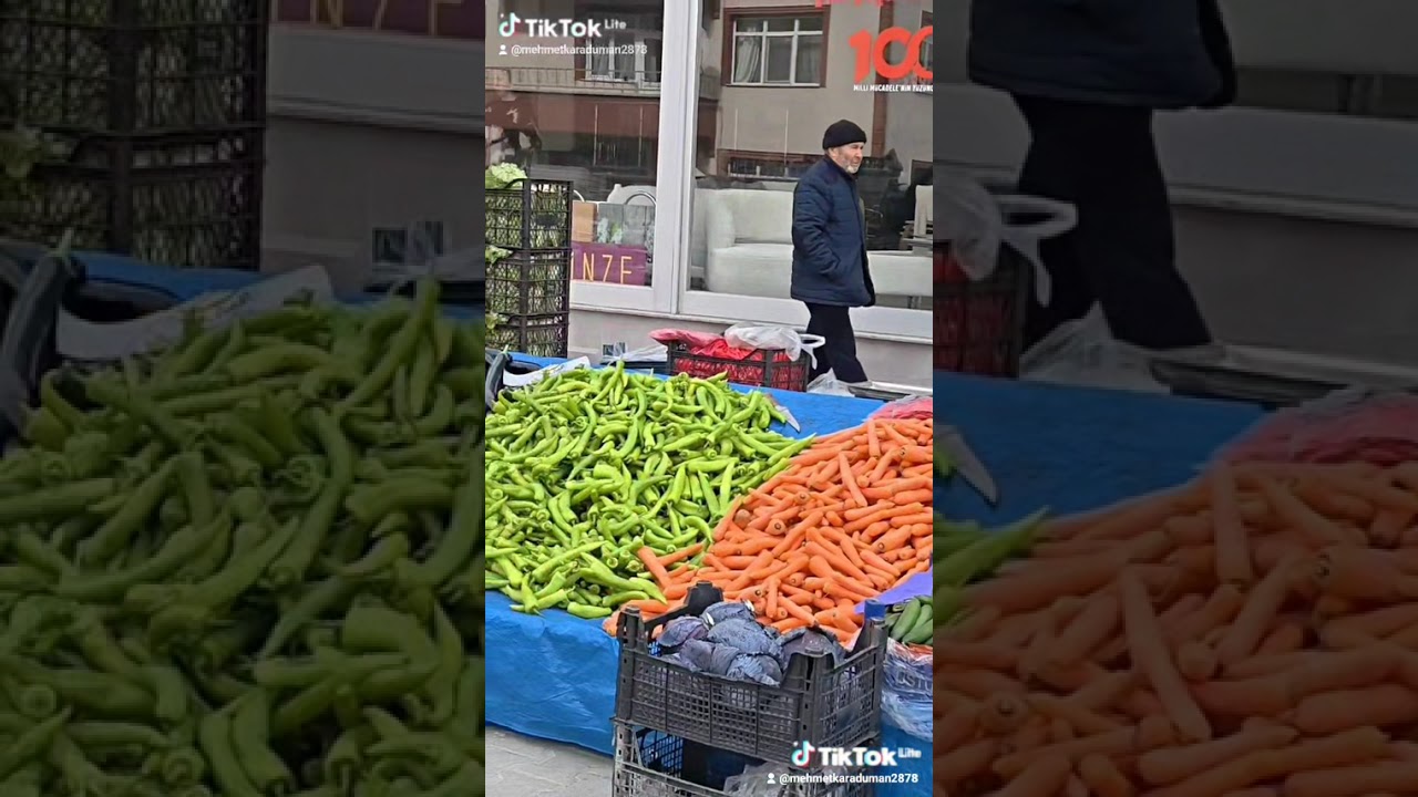 Kastamonu Taşköprü salı pazarı 