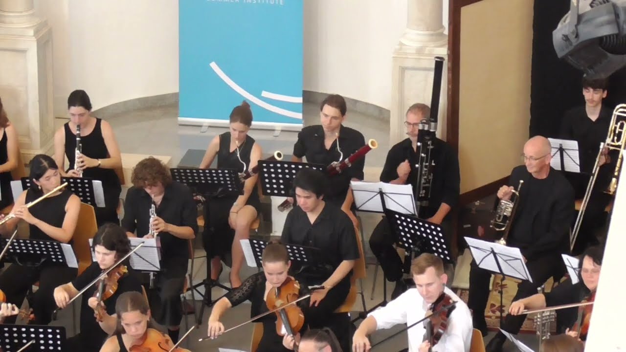 Johannes Brahms: Symphony in E minor, no. 4, op. 98, Movement 4