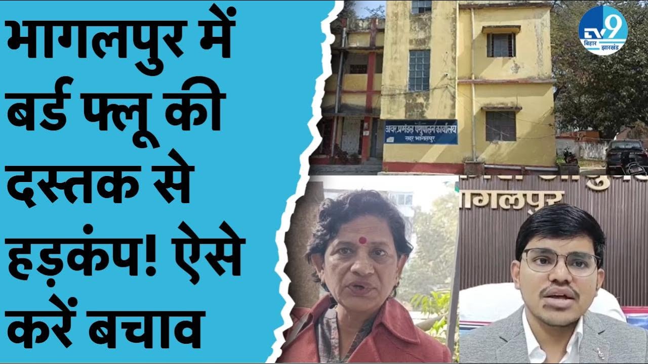 Bhagalpur में हुई Bird Flu की पुष्टि, H5N1 Virus सामने आने से हड़कंप, सैकड़ों पक्षियों की हुई मौ'त!