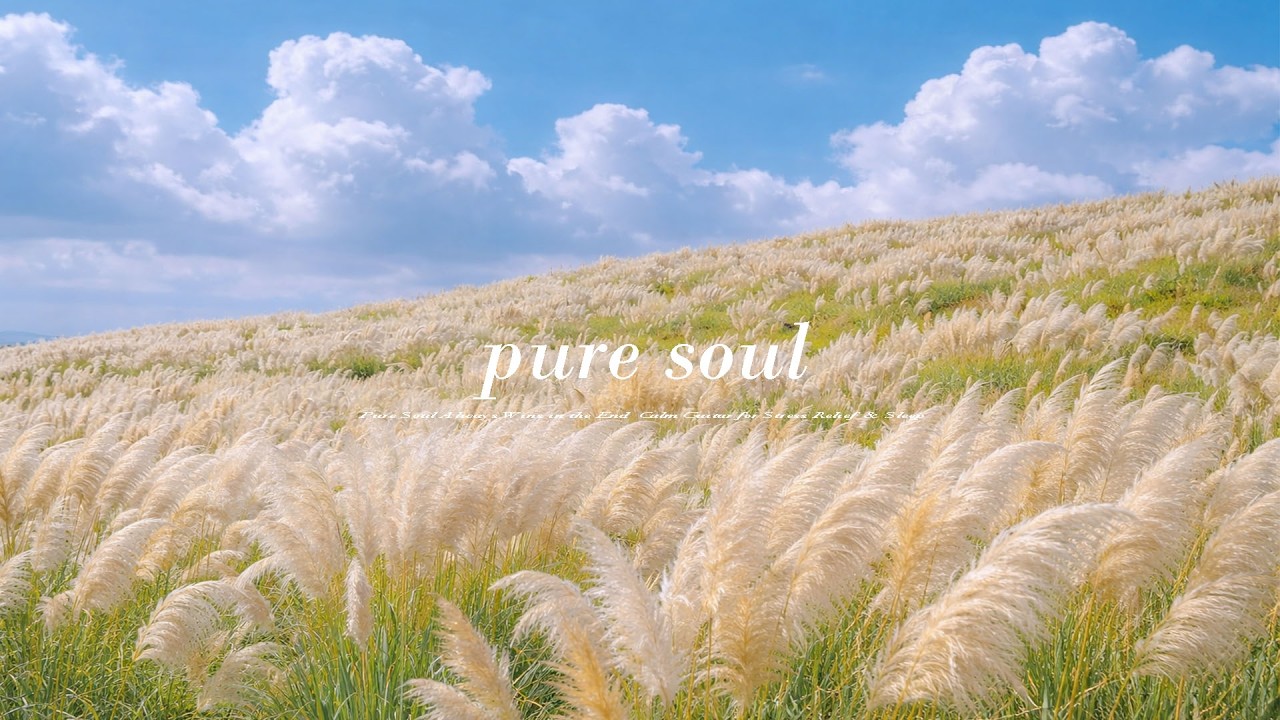 Pure Soul Always Wins in the End🌿🍃  | Calm Guitar for Stress Relief & Sleep