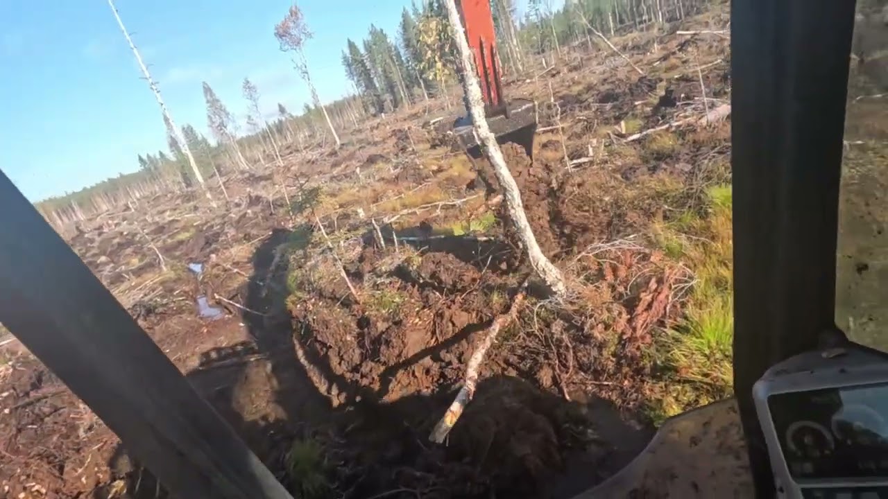 MÄTÄSTYSTÄ JA IHEME HÖPINÖITÄ