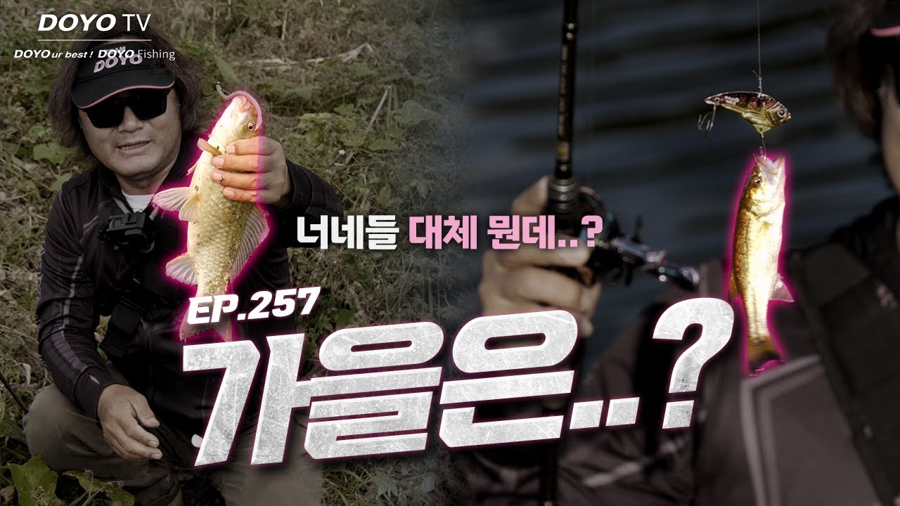 [도요TV ep.257] 이상한 놈들이 자꾸 낚이는 이상한 배스 낚시..?