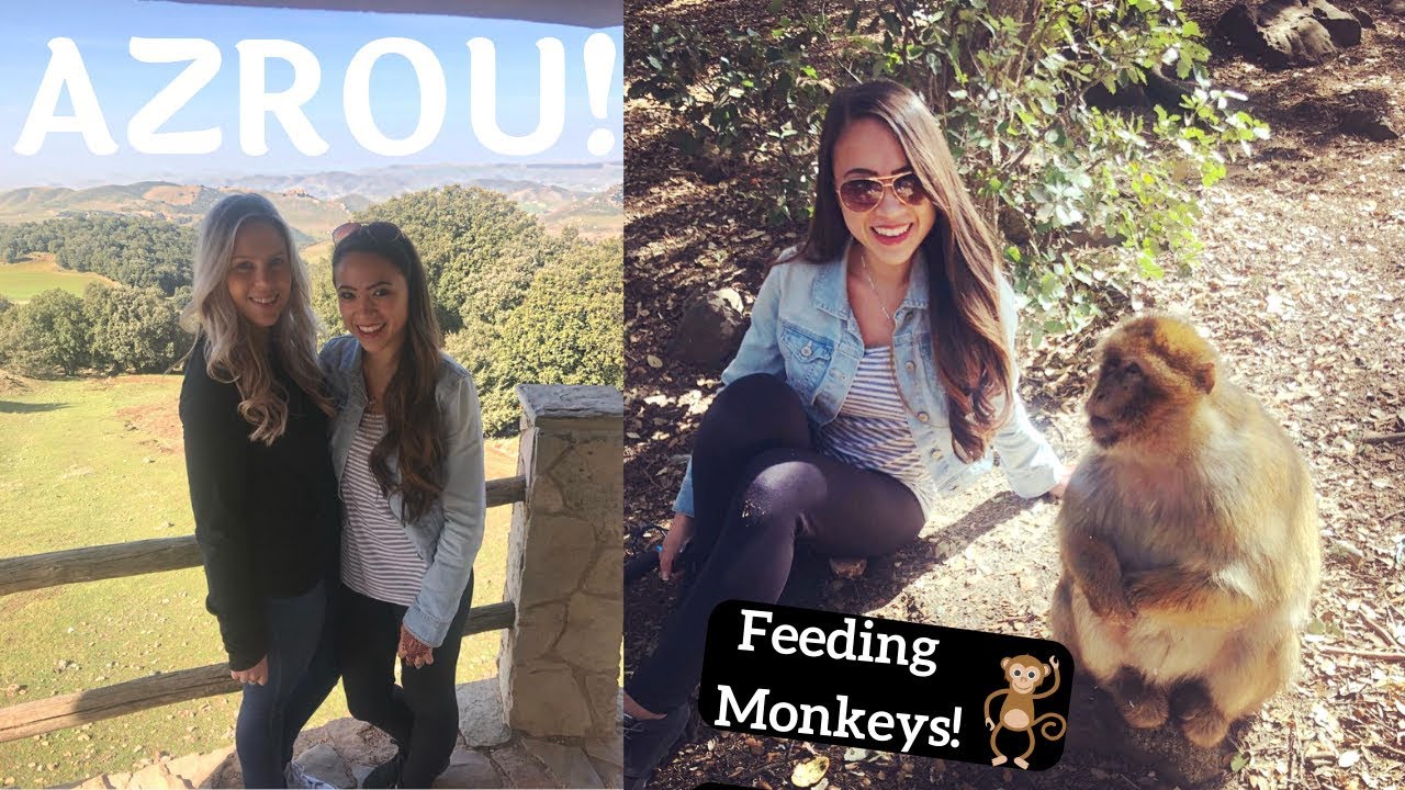 Feeding Monkeys In Africa! | AZROU MOROCCO!