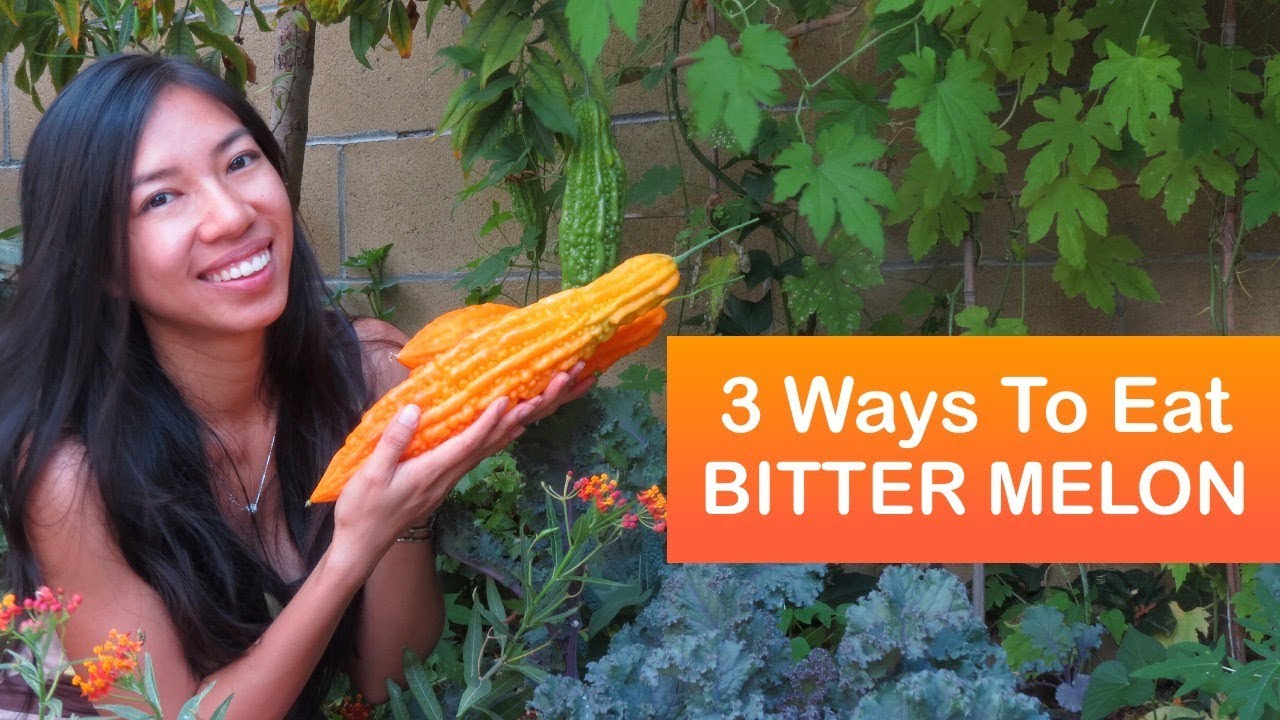 3 Easy Ways to Cook Bitter Melon