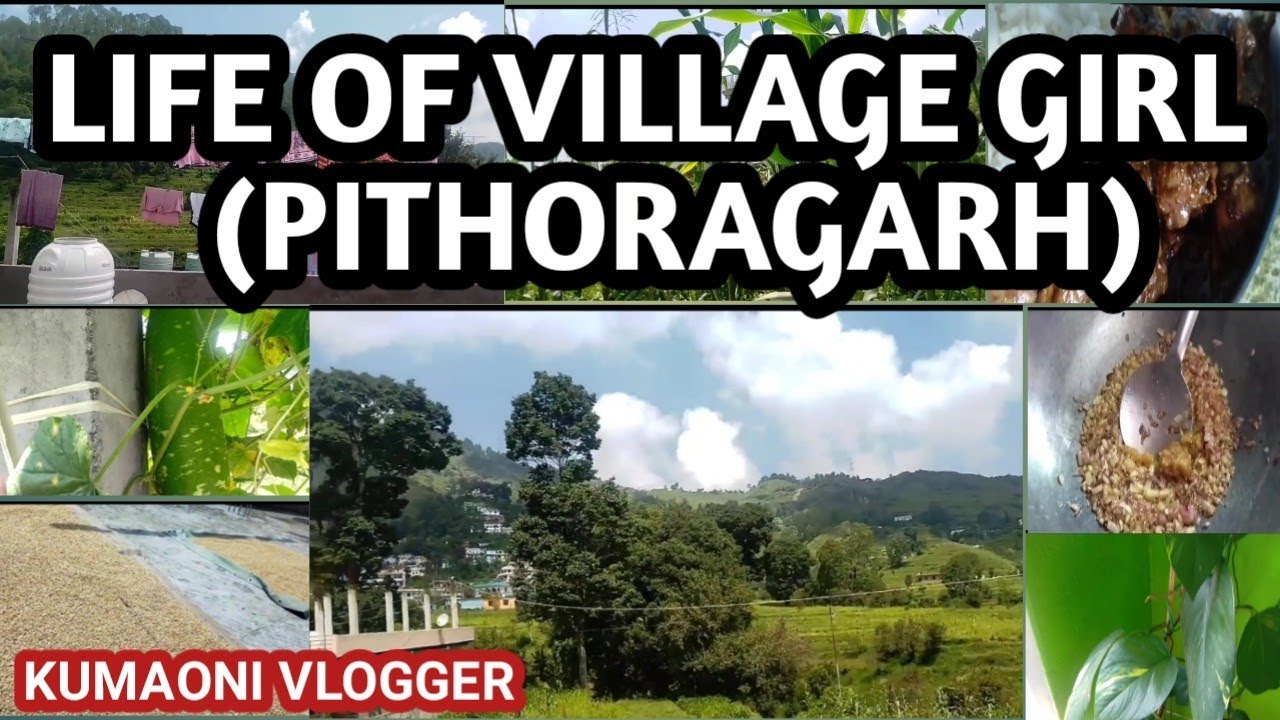 Life of village girl in pithoragarh | daily life vlog |#kumaonivlogger #uttarakhand #viral