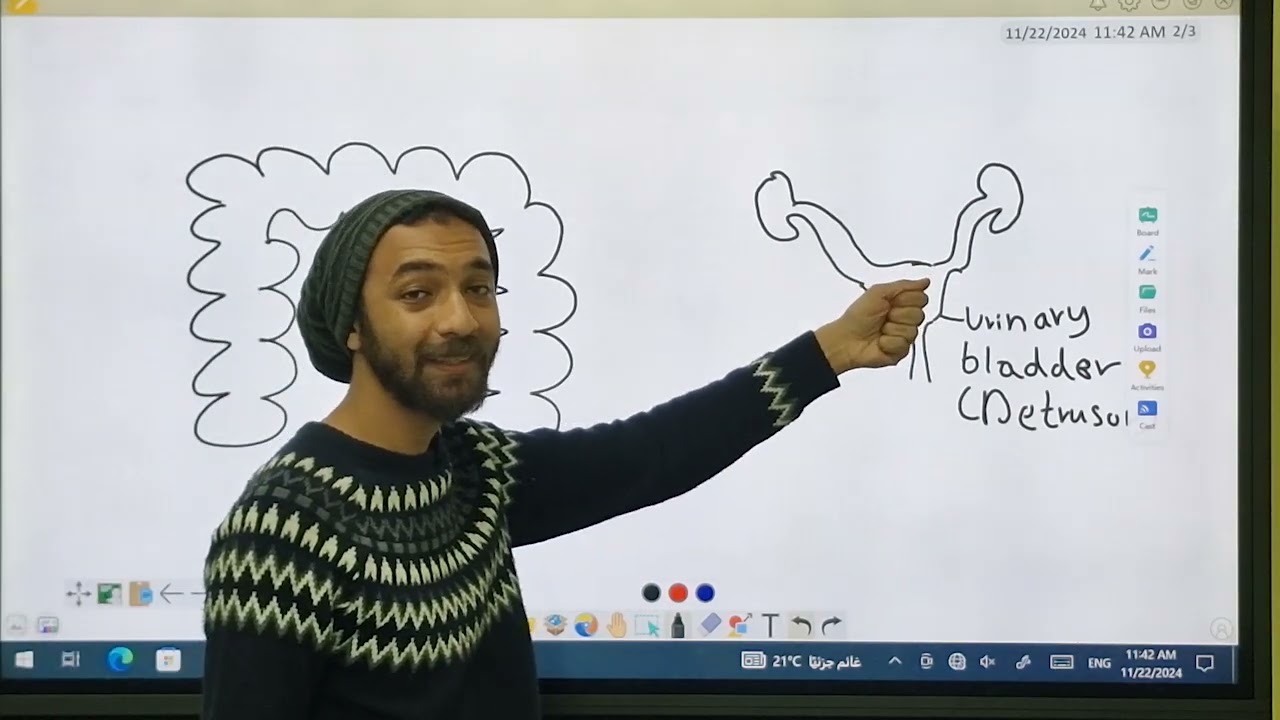 Introduction to adrenergic system